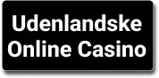Udenlandske Casino logo